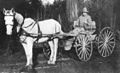 A.M. Kennedy arrived in Beaverton in 1877 to farm. (Beaverton, Oregon Historical Photo Gallery) (169).jpg