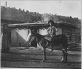 "A Mesa Creek Valley rancher's daughter en route to school." The little girl on her burro takes leave of her mother for - NARA - 523021.tif