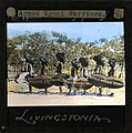 "Armed Ngoni Warriors, Livingstonia" Malawi, ca.1910 (imp-cswc-GB-237-CSWC47-LS4-1-006).jpg