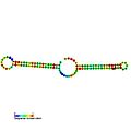 23S methyl RNA motif secondary structure.jpg